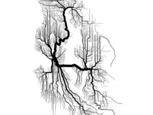 datavis heroes_BMartinAnderson - Tree of Seattle