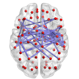 brain network mind map diagram example